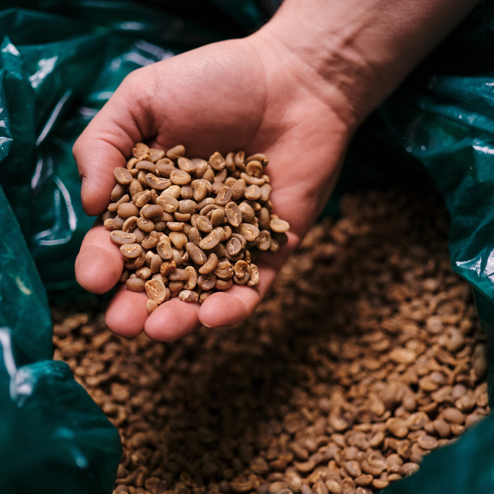 COFFEE EMBASSY Курс Обжарщик кофе. Продвинутый уровень